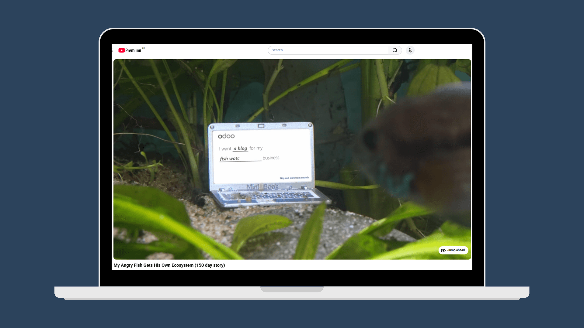 Image of a fish using a computer.